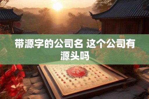 带源字的公司名 这个公司有源头吗