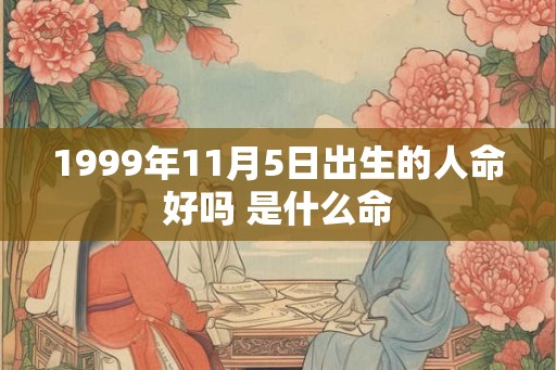 1999年11月5日出生的人命好吗 是什么命
