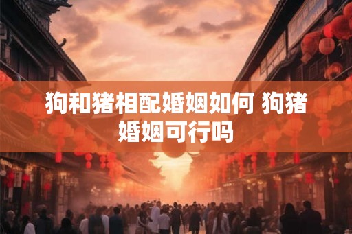 狗和猪相配婚姻如何 狗猪婚姻可行吗 狗和猪相配婚姻如何 狗猪婚姻可行吗