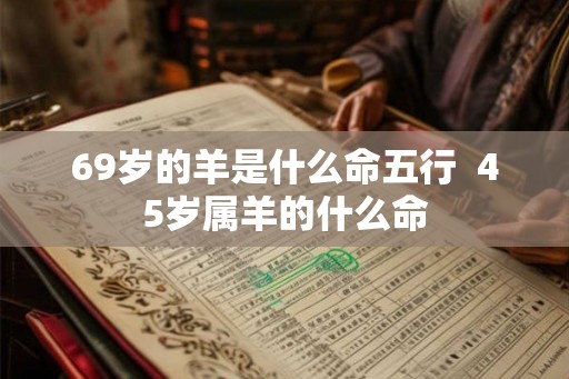 69岁的羊是什么命五行 45岁属羊的什么命 69岁的羊是什么命五行 45岁属羊的什么命
