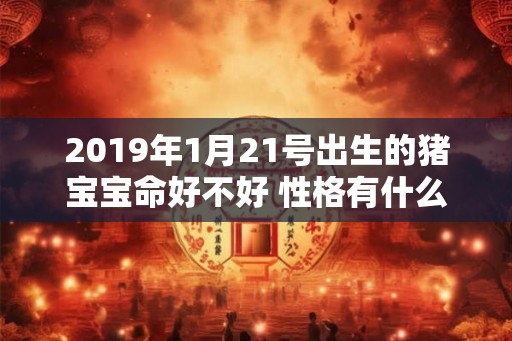2019年1月21号出生的猪宝宝命好不好 性格有什么特点