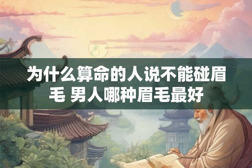 为什么算命的人说不能碰眉毛 男人哪种眉毛最好