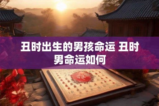 丑时出生的男孩命运 丑时男命运如何 丑时出生的男孩命运 丑时男命运如何