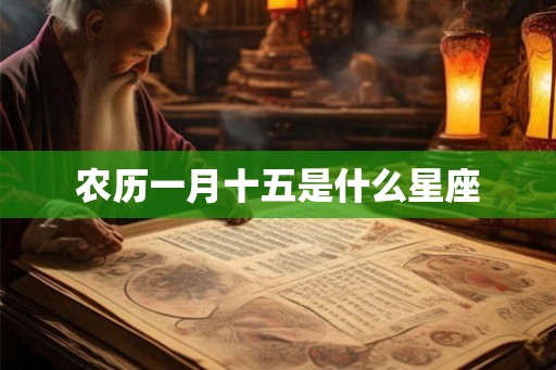 农历一月十五是什么星座