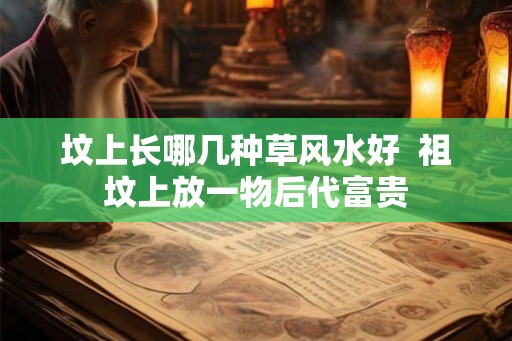 坟上长哪几种草风水好 祖坟上放一物后代富贵 坟上长哪几种草风水好 祖坟上放一物后代富贵