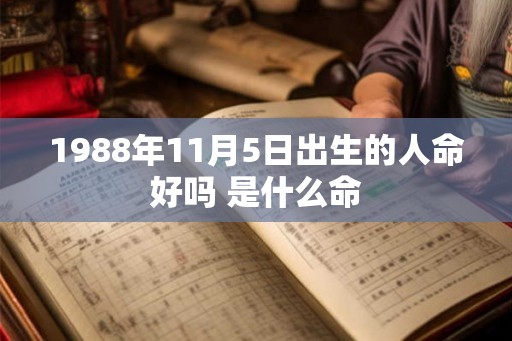 1988年11月5日出生的人命好吗 是什么命