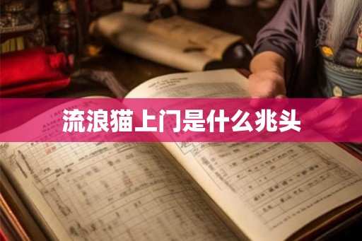 流浪猫上门是什么兆头