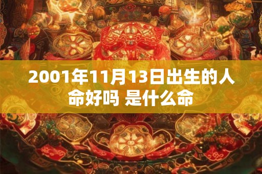 2001年11月13日出生的人命好吗 是什么命