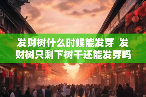 发财树什么时候能发芽  发财树只剩下树干还能发芽吗