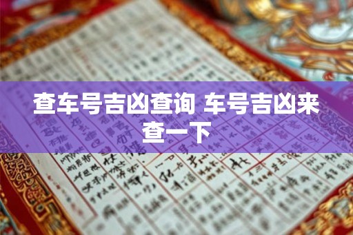 查车号吉凶查询 车号吉凶来查一下
