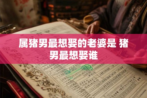 属猪男最想娶的老婆是 猪男最想娶谁