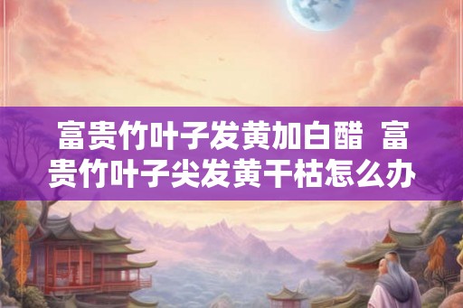 富贵竹叶子发黄加白醋  富贵竹叶子尖发黄干枯怎么办