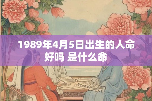 1989年4月5日出生的人命好吗 是什么命