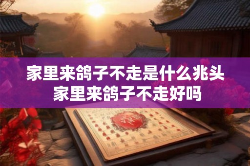 家里来鸽子不走是什么兆头 家里来鸽子不走好吗 家里来鸽子不走是什么兆头 家里来鸽子不走好吗