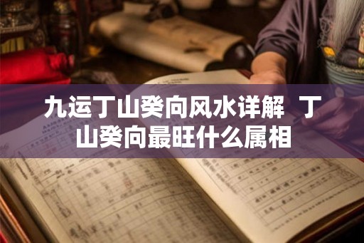 九运丁山癸向风水详解  丁山癸向最旺什么属相