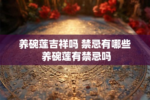 养碗莲吉祥吗 禁忌有哪些 养碗莲有禁忌吗