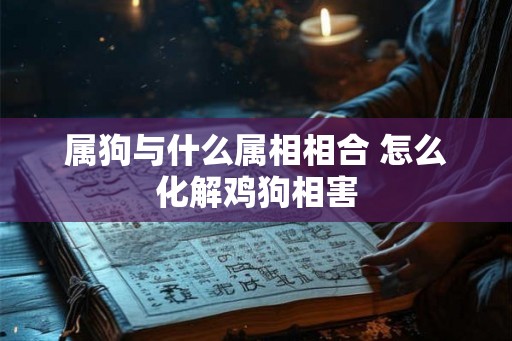 属狗与什么属相相合 怎么化解鸡狗相害