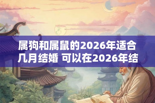 属狗和属鼠的2026年适合几月结婚 可以在2026年结婚吗