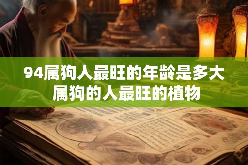 94属狗人最旺的年龄是多大 属狗的人最旺的植物
