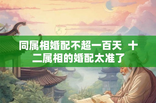 同属相婚配不超一百天  十二属相的婚配太准了
