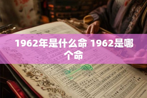 1962年是什么命 1962是哪个命