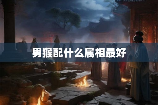 男猴配什么属相最好