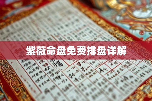 紫薇命盘免费排盘详解 紫薇命盘免费排盘详解