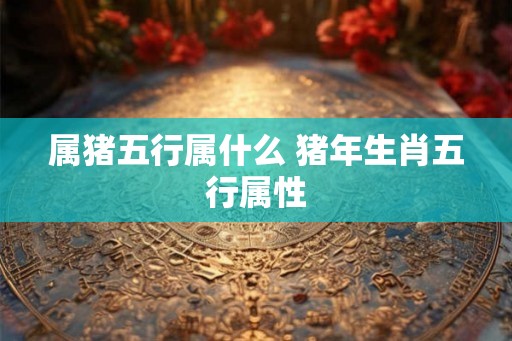属猪五行属什么 猪年生肖五行属性
