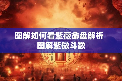 图解如何看紫薇命盘解析  图解紫微斗数