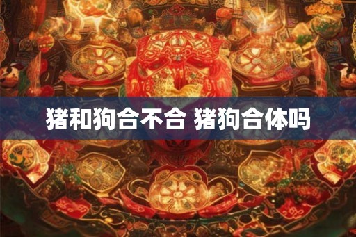 猪和狗合不合 猪狗合体吗