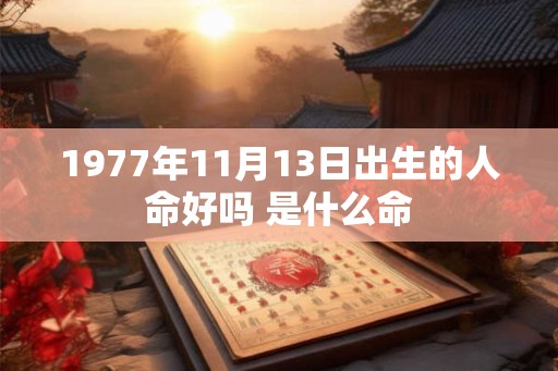 1977年11月13日出生的人命好吗 是什么命