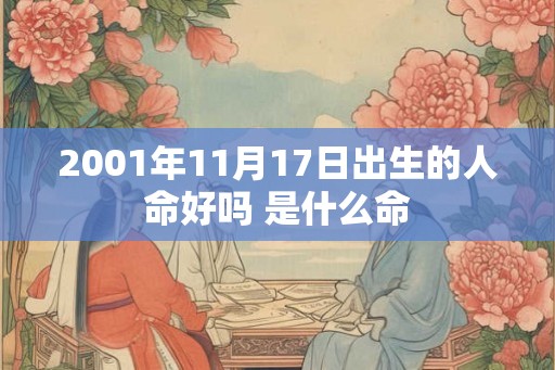 2001年11月17日出生的人命好吗 是什么命