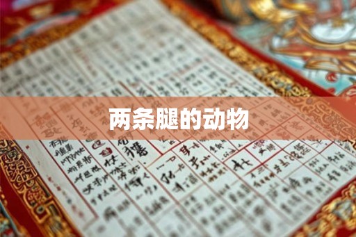 两条腿的动物