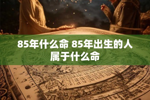 85年什么命 85年出生的人属于什么命