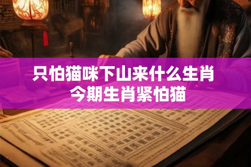 只怕猫咪下山来什么生肖  今期生肖紧怕猫