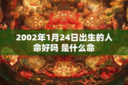 2002年1月24日出生的人命好吗 是什么命