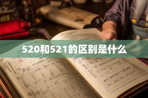 520和521的区别是什么