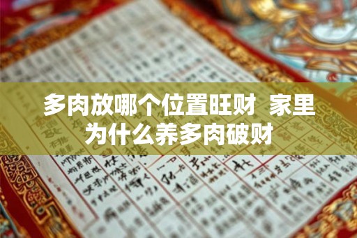 多肉放哪个位置旺财  家里为什么养多肉破财