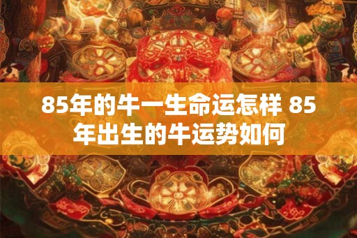 85年的牛一生命运怎样 85年出生的牛运势如何