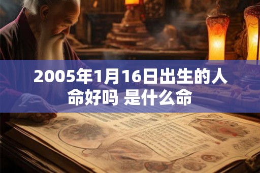 2005年1月16日出生的人命好吗 是什么命