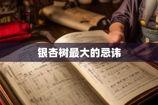 银杏树最大的忌讳