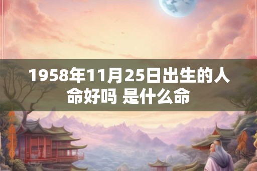 1958年11月25日出生的人命好吗 是什么命