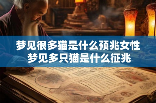 梦见很多猫是什么预兆女性 梦见多只猫是什么征兆