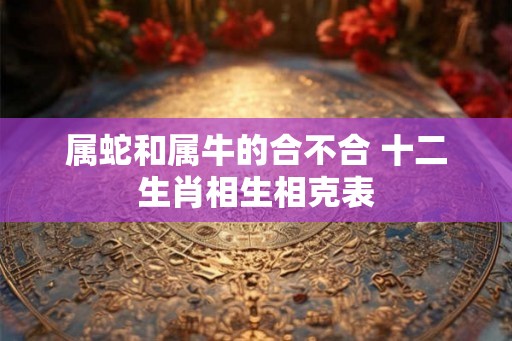 属蛇和属牛的合不合 十二生肖相生相克表