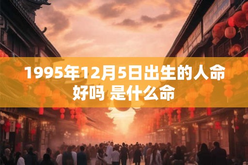 1995年12月5日出生的人命好吗 是什么命