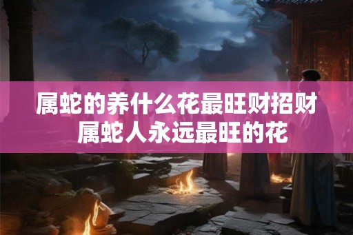 属蛇的养什么花最旺财招财  属蛇人永远最旺的花