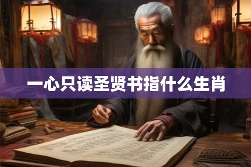 一心只读圣贤书指什么生肖