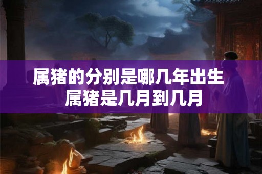 属猪的分别是哪几年出生  属猪是几月到几月