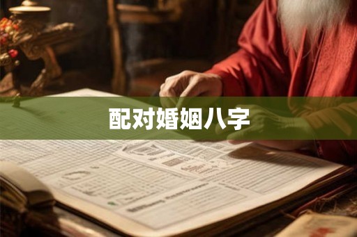 配对婚姻八字