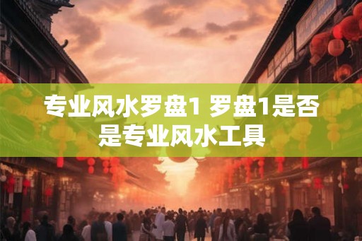专业风水罗盘1 罗盘1是否是专业风水工具